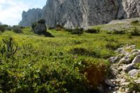 2014-08-02_06FritzPflaum-Steig (176).JPG